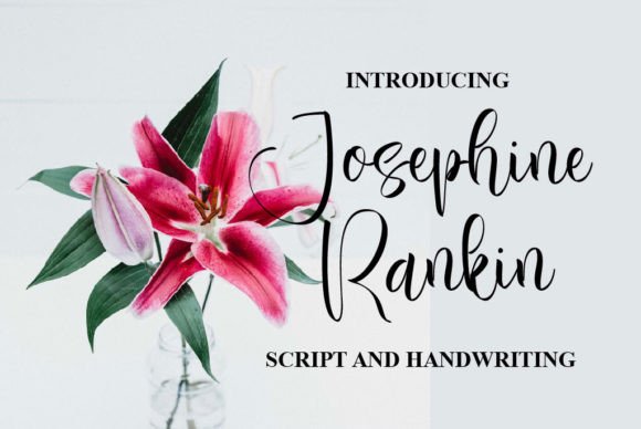Josephine Rankin: A Charming Script Font Review